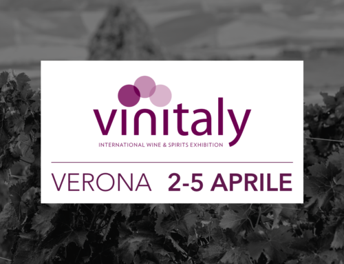 Interviste alle Cantine presenti al Vinitaly 2023